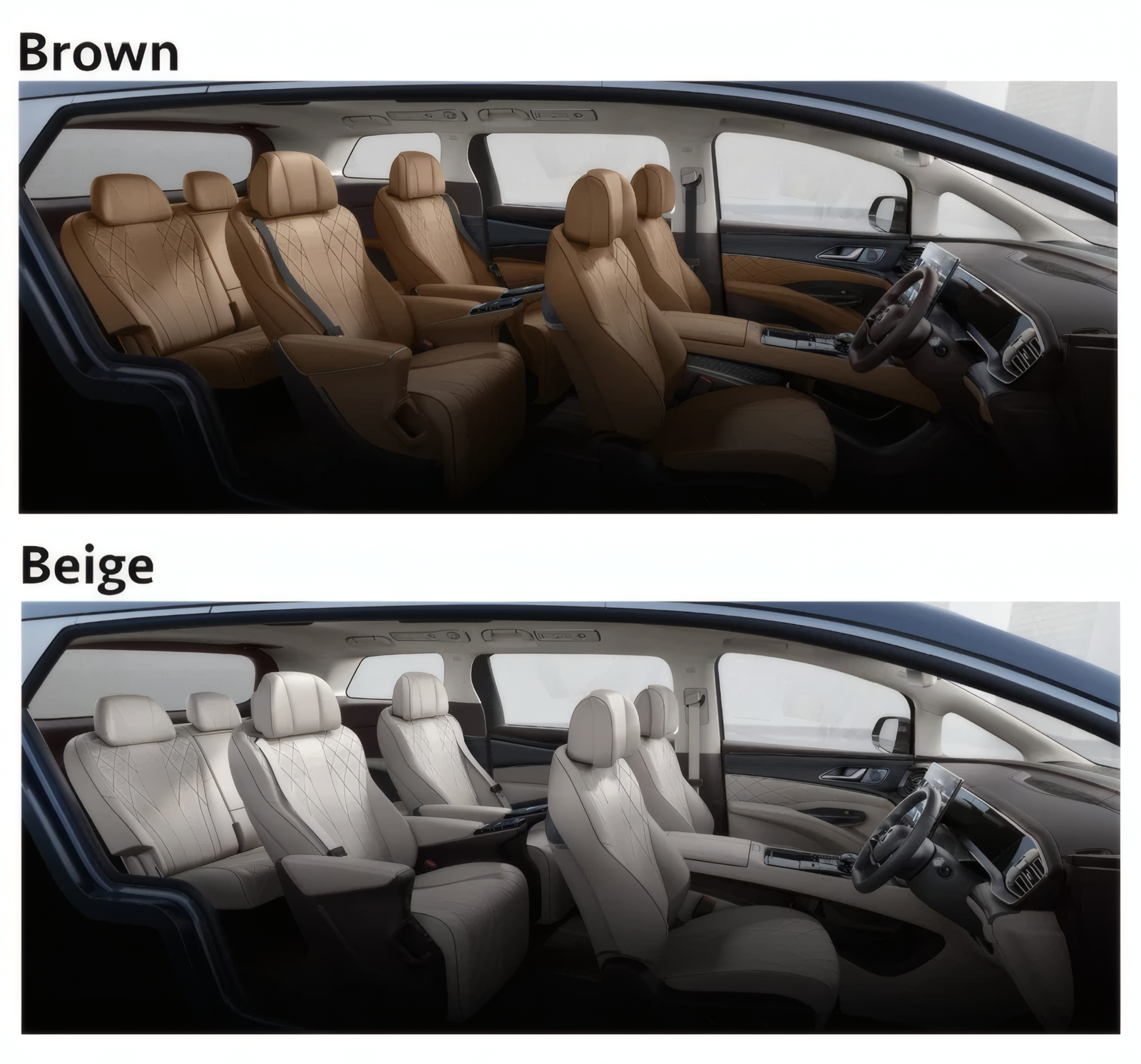 Denza D9 Interior Colours